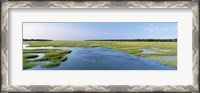 Framed Sea grass in the sea, Atlantic Coast, Jacksonville, Florida, USA