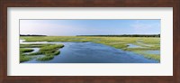 Framed Sea grass in the sea, Atlantic Coast, Jacksonville, Florida, USA