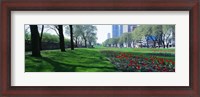 Framed Public Gardens, Loop, Cityscape, Grant Park, Chicago, Illinois, USA