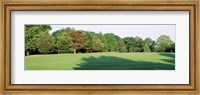 Framed Trees on a golf course, Woodholme Country Club, Baltimore, Maryland, USA