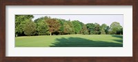 Framed Trees on a golf course, Woodholme Country Club, Baltimore, Maryland, USA