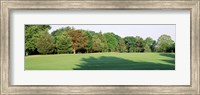 Framed Trees on a golf course, Woodholme Country Club, Baltimore, Maryland, USA