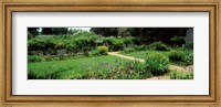 Framed USA, Virginia, Williamsburg, colonial garden