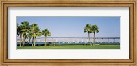 Framed Palm trees on the coast with bridge in the background, Coronado Bay Bridge, San Diego, San Diego County, California, USA