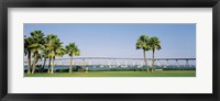 Framed Palm trees on the coast with bridge in the background, Coronado Bay Bridge, San Diego, San Diego County, California, USA