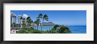 Framed Palm Trees On The Beach, Waikiki Beach, Honolulu, Oahu, Hawaii, USA