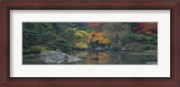 Framed Pond view in the Japanese Garden Seattle WA