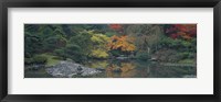 Framed Pond view in the Japanese Garden Seattle WA