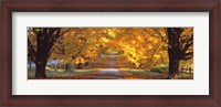 Framed Road, Baltimore County, Maryland, USA
