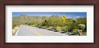 Framed Directional signboard at the roadside, McCain Loop Road, Tucson Mountain Park, Tucson, Arizona, USA