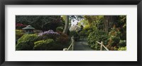 Framed Plants in a garden, Japanese Tea Garden, San Francisco, California, USA