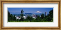 Framed Mt Hood Portland Oregon USA