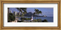 Framed Palm trees on Waikiki Beach, Oahu, Honolulu, Hawaii