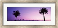 Framed San Francisco skyline between 2 palm trees, California