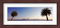 Framed Palm Trees At Dusk, San Francisco, California, USA
