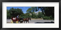 Framed Tourists Traveling In A Horse Cart, NYC, New York City, New York State, USA