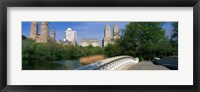 Framed Bow Bridge, Central Park, NYC, New York City, New York State, USA