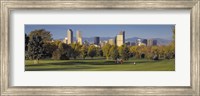 Framed USA, Colorado, Denver, panoramic view of skyscrapers around a golf course