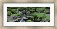 Framed River Flowing Through A Forest, Inniswood Metro Gardens, Columbus, Ohio, USA