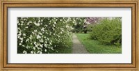 Framed Path In A Park, Richmond, Virginia, USA