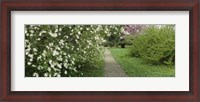 Framed Path In A Park, Richmond, Virginia, USA