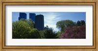 Framed Low angle view of skyscrapers viewed from a park, Central Park, Manhattan, New York City, New York State, USA