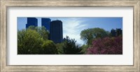 Framed Low angle view of skyscrapers viewed from a park, Central Park, Manhattan, New York City, New York State, USA
