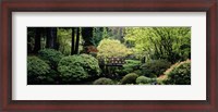 Framed Panoramic view of a garden, Japanese Garden, Washington Park, Portland, Oregon