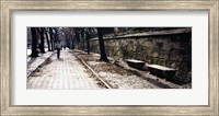 Framed Rear view of a woman walking on a walkway, Central Park, Manhattan, New York City, New York, USA