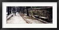 Framed Rear view of a woman walking on a walkway, Central Park, Manhattan, New York City, New York, USA