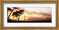 Framed Silhouette of trees at sunset, Golden Gate Bridge, San Francisco, California, USA