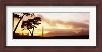 Framed Silhouette of trees at sunset, Golden Gate Bridge, San Francisco, California, USA