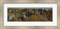 Framed High angle view of trees, Denver, Colorado, USA