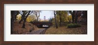 Framed Bridge in a park, Central Park, Manhattan, New York City, New York State, USA