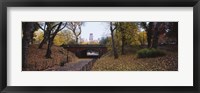 Framed Bridge in a park, Central Park, Manhattan, New York City, New York State, USA