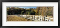 Framed Boardwalk passing through a forest, University of Wisconsin Arboretum, Madison, Dane County, Wisconsin, USA