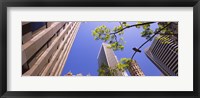 Framed Low angle view of buildings in a city, San Francisco, California, USA