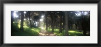 Framed Footpath passing through a park, The Presidio, San Francisco, California, USA