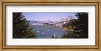 Framed Cranes at a bridge construction site, Bay Bridge, San Francisco, California