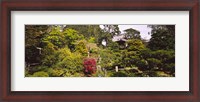Framed Cottage in a park, Japanese Tea Garden, Golden Gate Park, San Francisco, California, USA