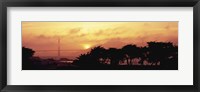 Framed Silhouette of trees at dusk with a bridge in the background, Golden Gate Bridge, San Francisco, California, USA