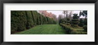 Framed Hedge in a formal garden, Ladew Topiary Gardens, Monkton, Baltimore County, Maryland