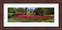 Framed Azalea and Tulip Flowers in a park, Sherwood Gardens, Baltimore, Maryland, USA