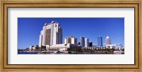 Framed Skyscrapers at the waterfront, Tampa, Hillsborough County, Florida, USA