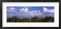 Framed Tampa Bay, Gulf Of Mexico, Anna Maria Island, Florida