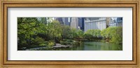 Framed Pond in a park, Central Park South, Central Park, Manhattan, New York City, New York State, USA