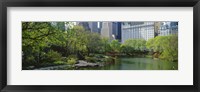 Framed Pond in a park, Central Park South, Central Park, Manhattan, New York City, New York State, USA