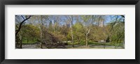 Framed Trees in a park, Central Park West, Central Park, Manhattan, New York City, New York State, USA