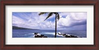 Framed Palm tree on the coast, Honolulu Nui Bay, Nahiku, Maui, Hawaii, USA