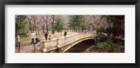Framed Group of people walking on an arch bridge, Central Park, Manhattan, New York City, New York State, USA
